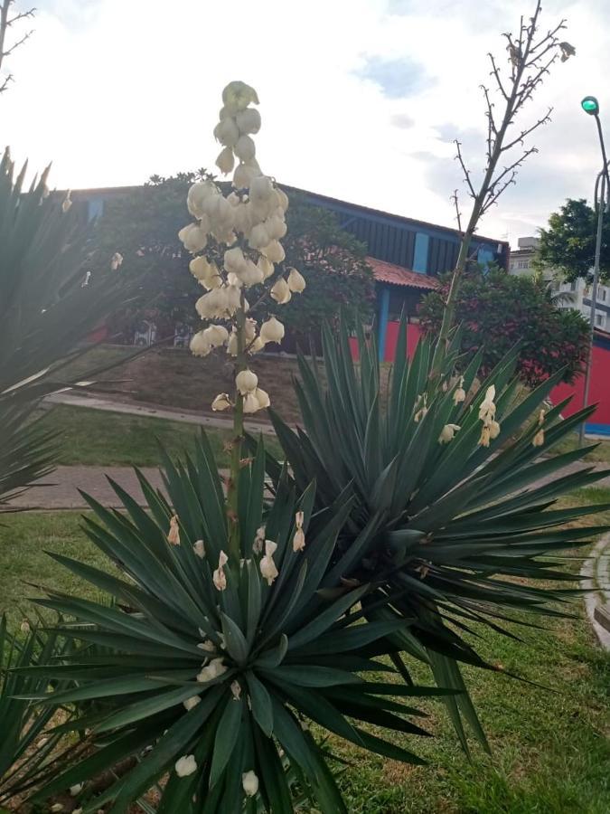 Apartamento Mobiliado 10 Minutos Da Praia Do Forte Cabo Frio Luaran gambar